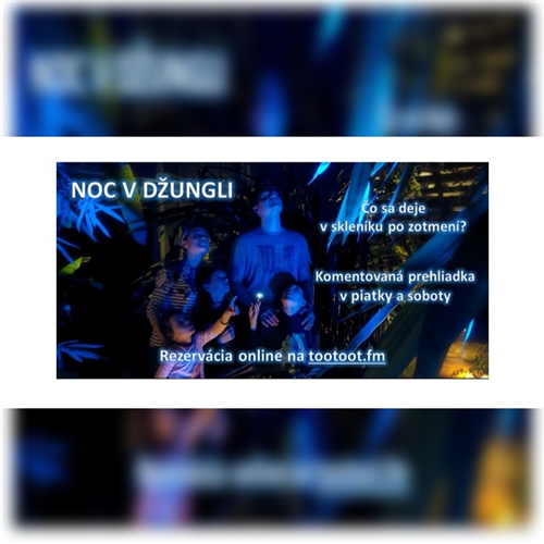 Noc v džungli