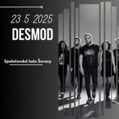 Desmod + OLDIES PARTY