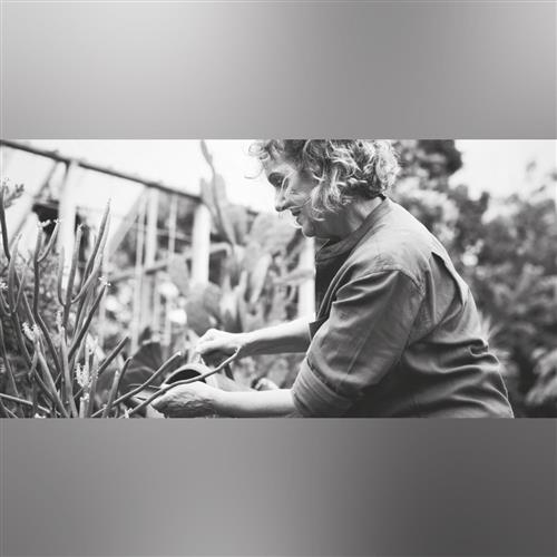 Bratislavské potulky | Poddanstvo v Uhorsku