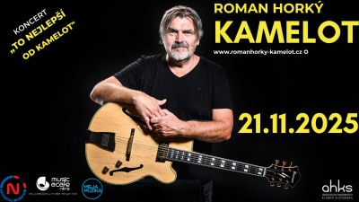 ROMAN HORKÝ A KAMELOT